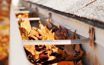 Mains Of Orchil gutter cleaning companies