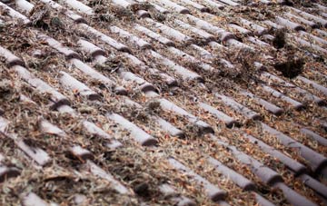 Mains Of Orchil roof cleaning companies