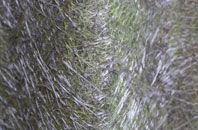 Mains Of Orchil fibreglass roof work